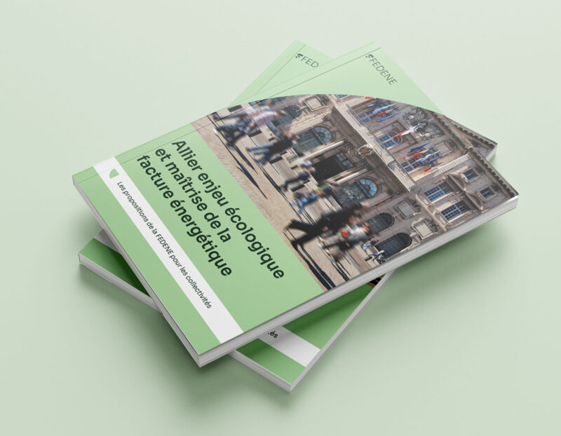 Élections municipales : les propositions de la FEDENE pour les collectivités et les élus locaux